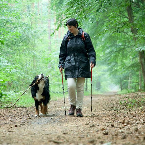 Nordic Walking mit Hund macht Spaß