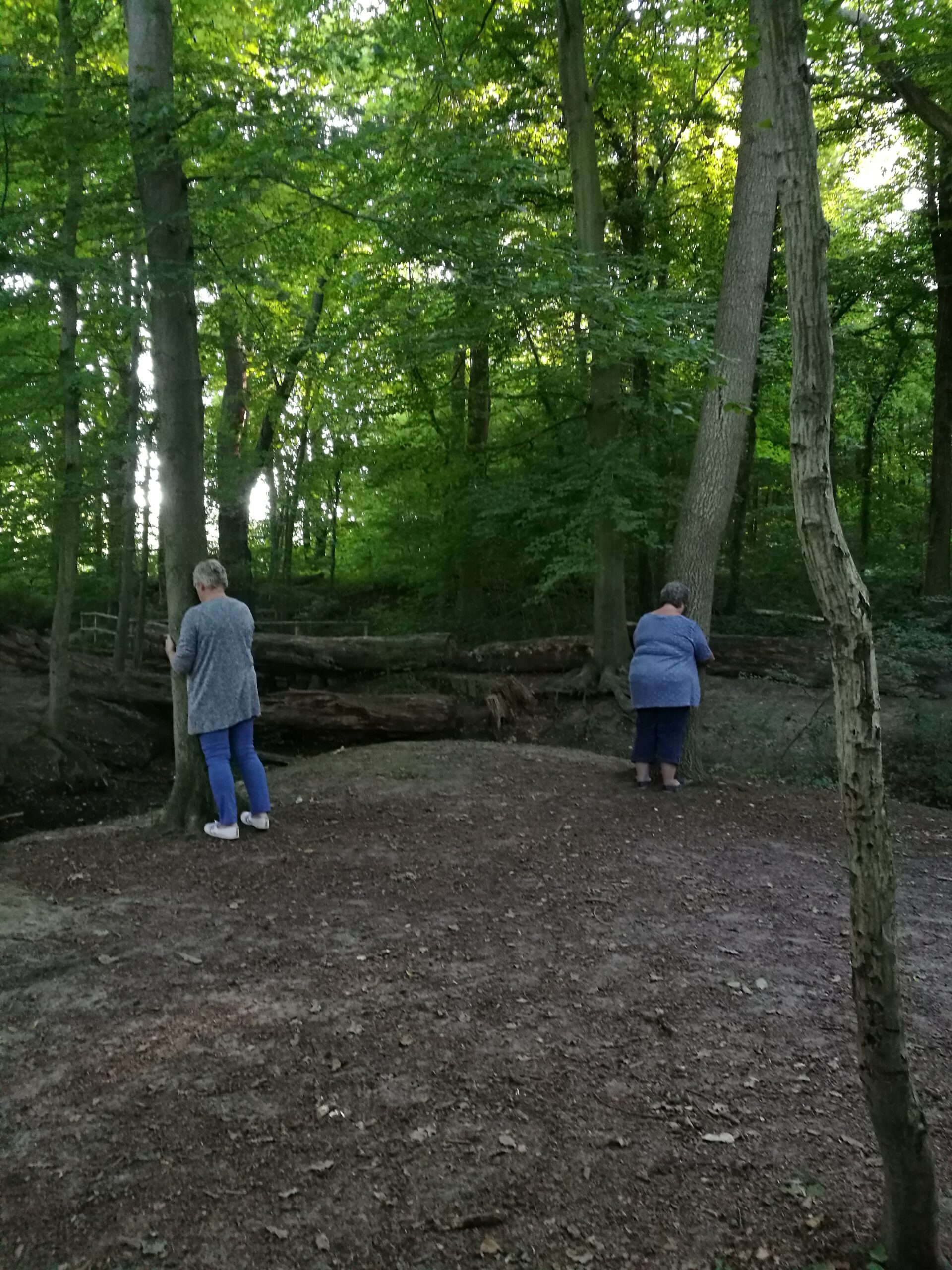 Waldbaden zur inneren Ruhe und Gelassenheit