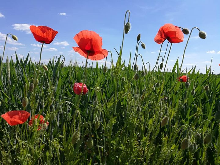 das Unterbewusstsein positiv ausrichten