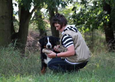 Welche Talente hat dein Hund - Apportieren von Futterdummys