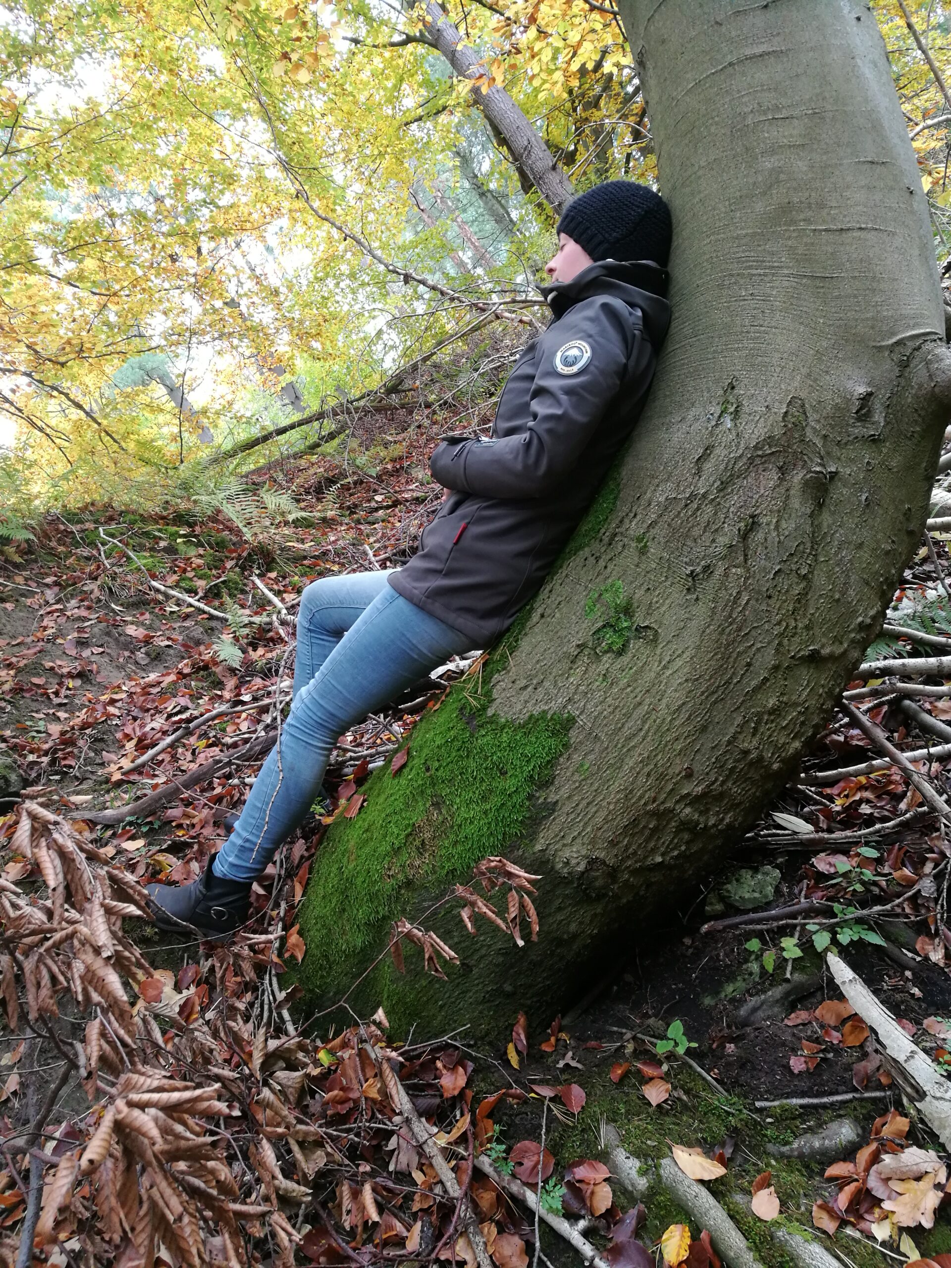 Entschleunigung beim Waldbaden