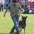 Vom Hundesport zur ganzheitlichen Hundeerziehungs- und Verhaltensberaterin