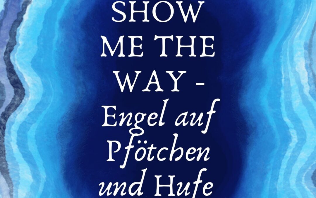 Sensible Hunde – Engel Auf Pfötchen