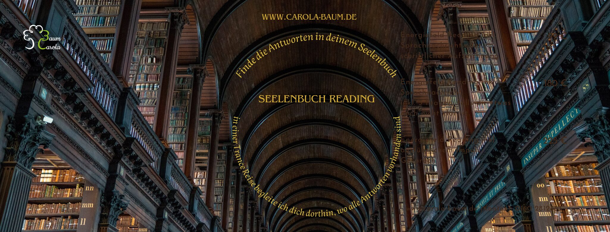 Seelenbuch Reading1 Energy Healing