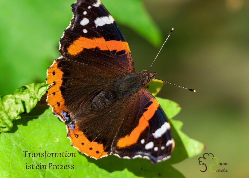 Veränderung – warum du die falsche Frage beantwortest