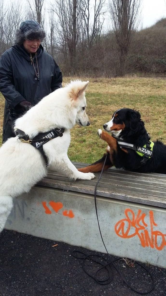 Abschied von Balou