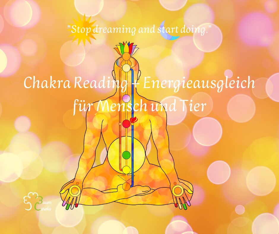 Chakra Reading für Mensch und Tier (1)