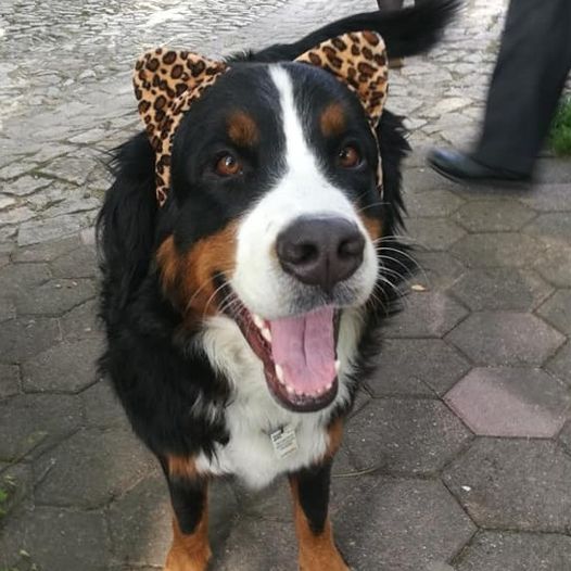 Rosi für jeden Spaß zu haben