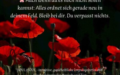 Du verpasst nichts – auch wenn du es gerade nicht sehen kannst
