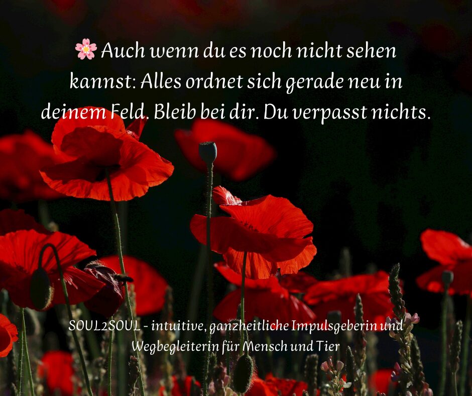 Auch wenn du es noch nicht sehen kannst