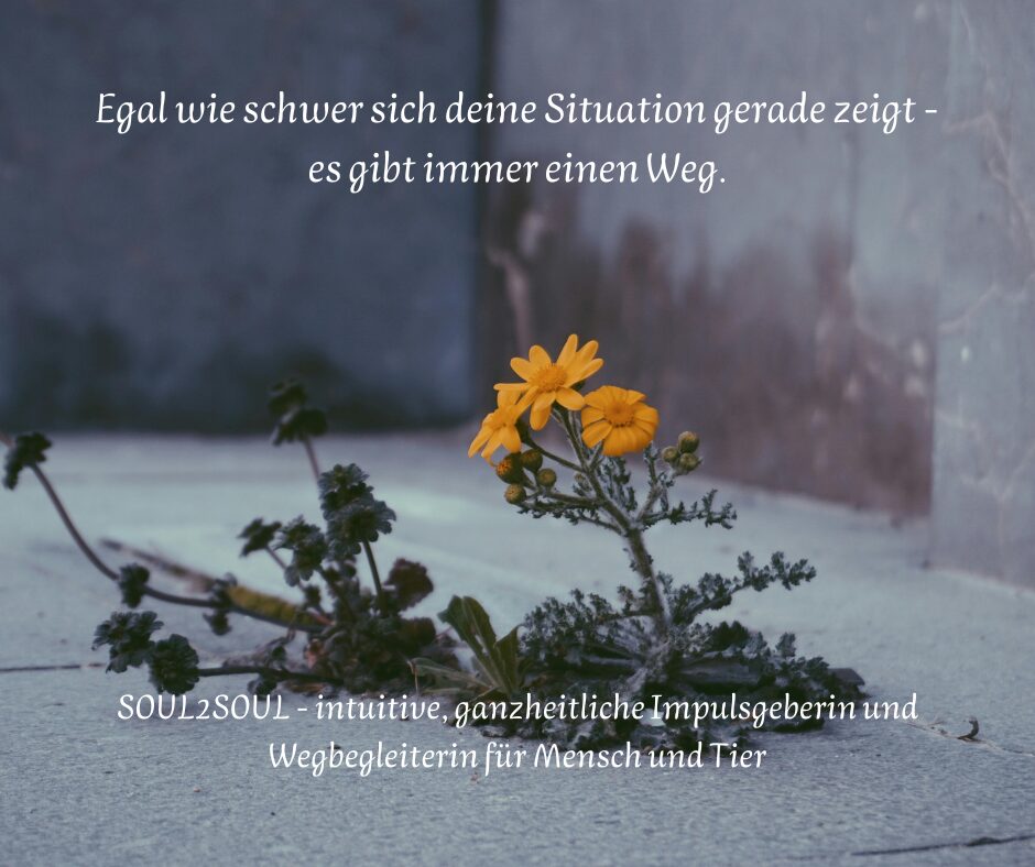 Blog - finde den Fehler(1)