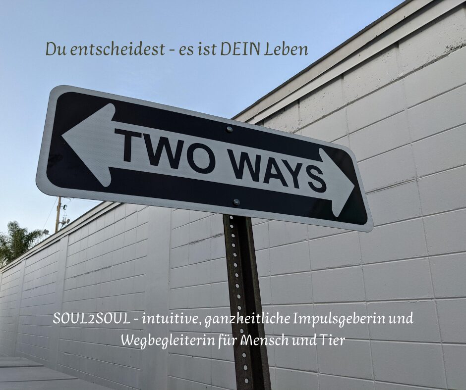 Blog - finde den Fehler(3)