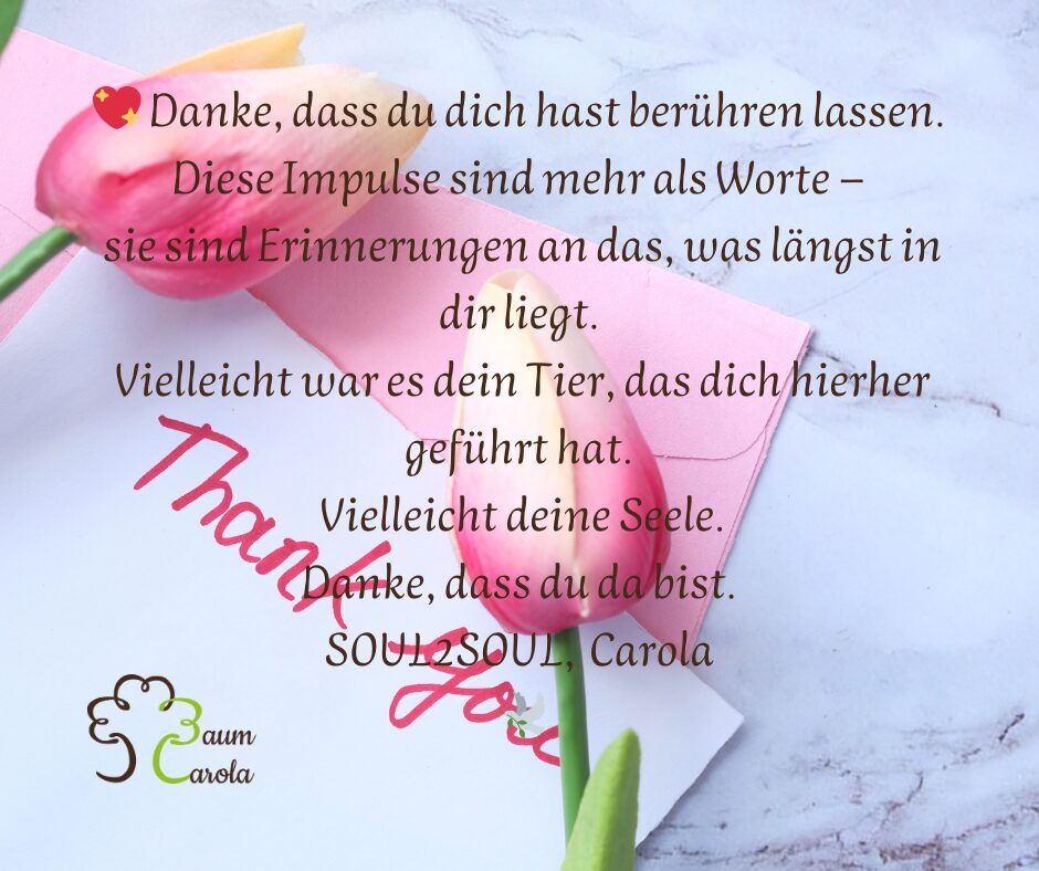 DANKE_~1
