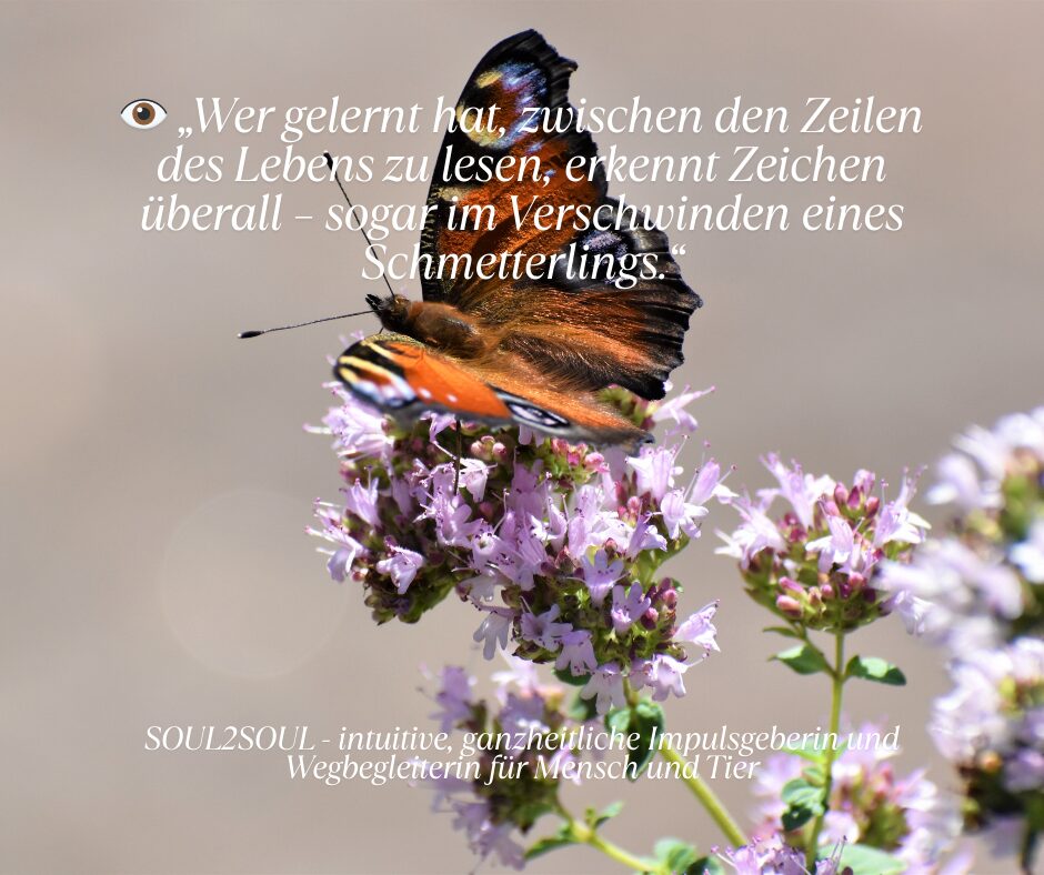 Die Botschaften entschlüsseln
