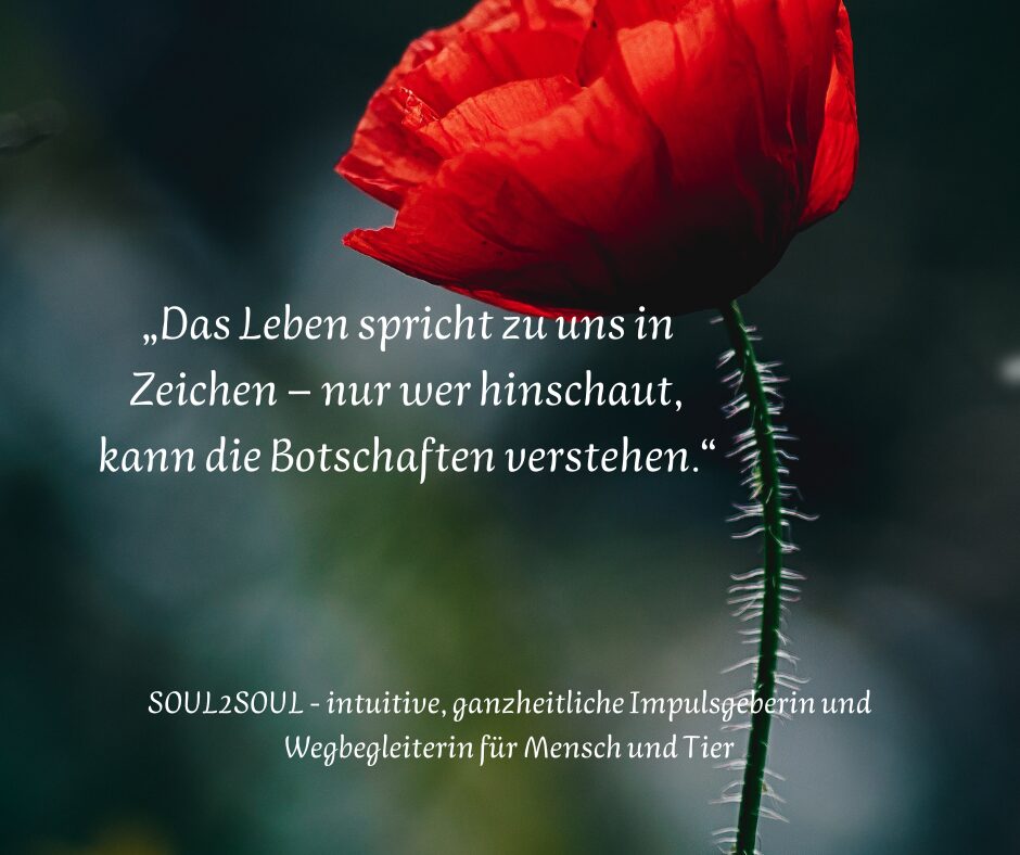 Die Sprache der Zeichen