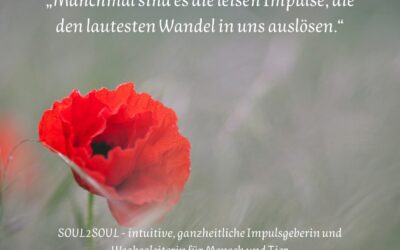 Die Sprache der Zeichen – wie deine Seele mit dir spricht