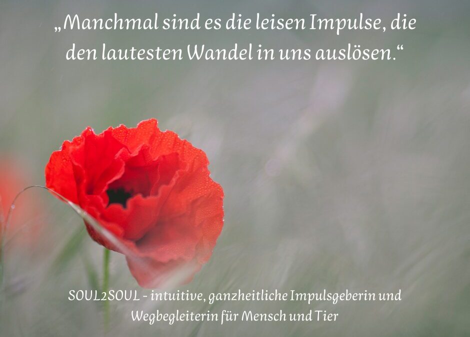 Die Sprache der Zeichen – wie deine Seele mit dir spricht