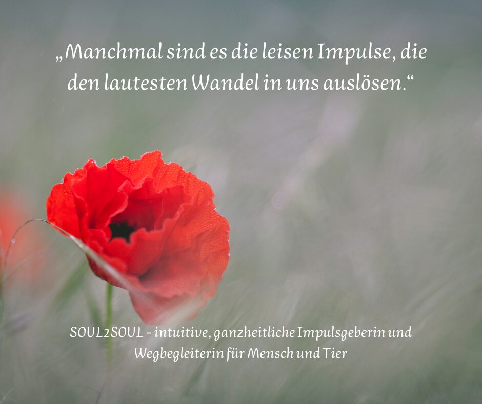 Die Sprache der Zeichen(1)