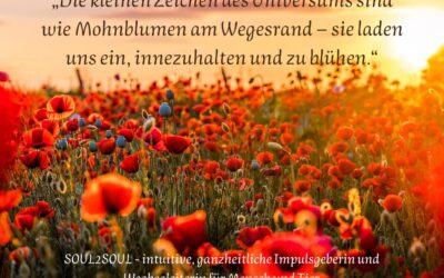 Wenn das Alte geht – und das Neue noch still ist