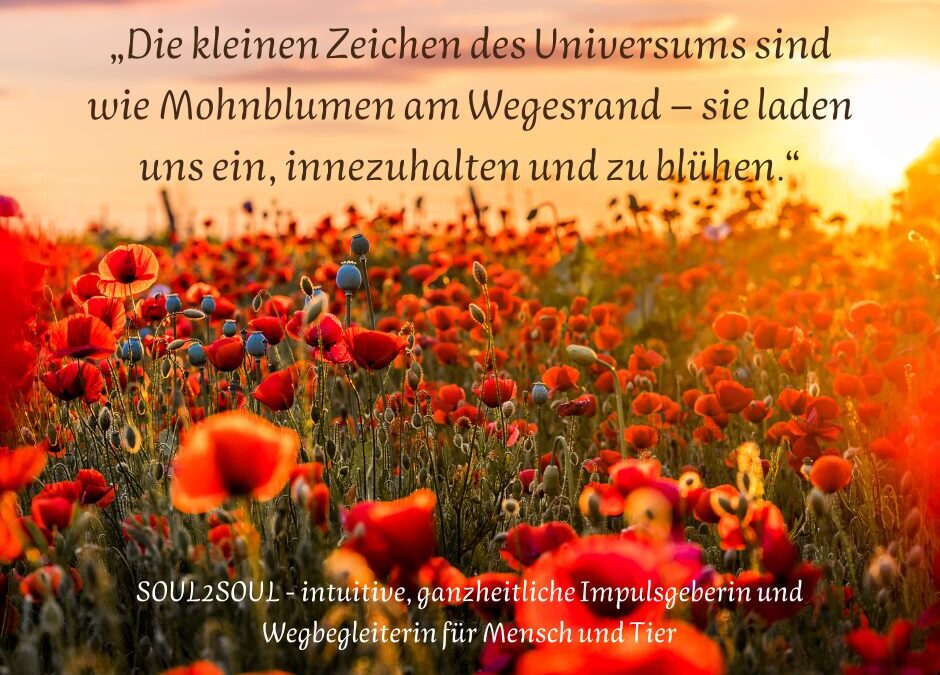 Wenn das Alte geht – und das Neue noch still ist