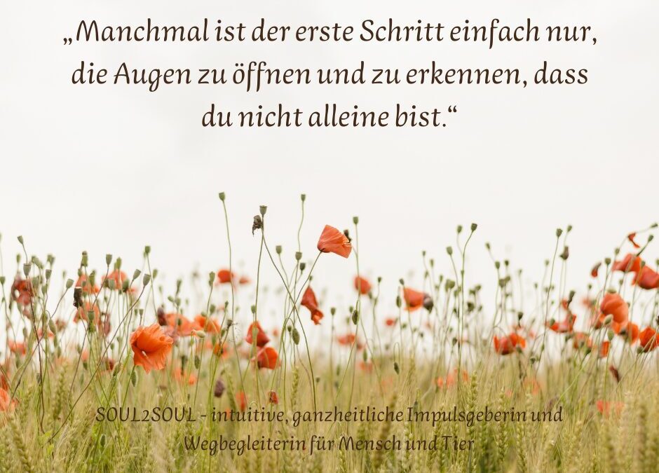 111 – Wenn dir das Universum zuzwinkert