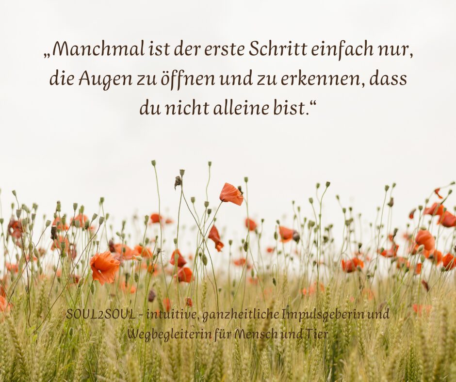 Die Sprache der Zeichen(5)
