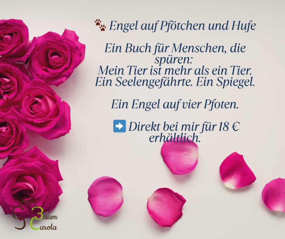 Engel auf Pfötchen - Buch