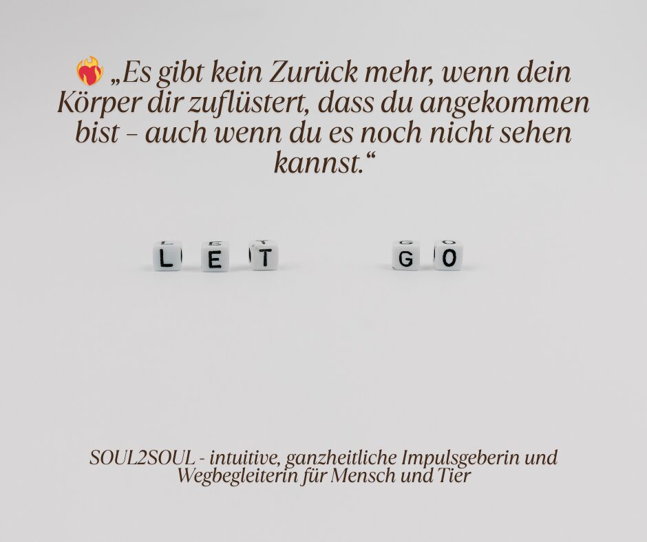 Es gibt kein Zurück mehr