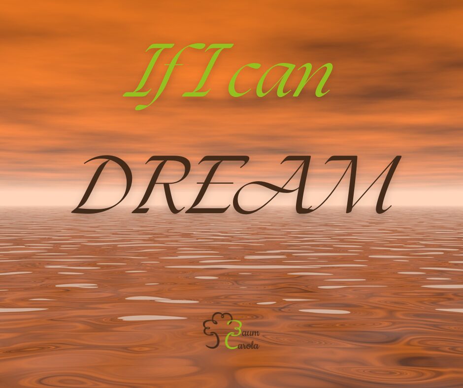If i can Dream(1) Was will meine Seele noch für Erfahrungen machen? – Deine Reise in die eigene Wahrheit