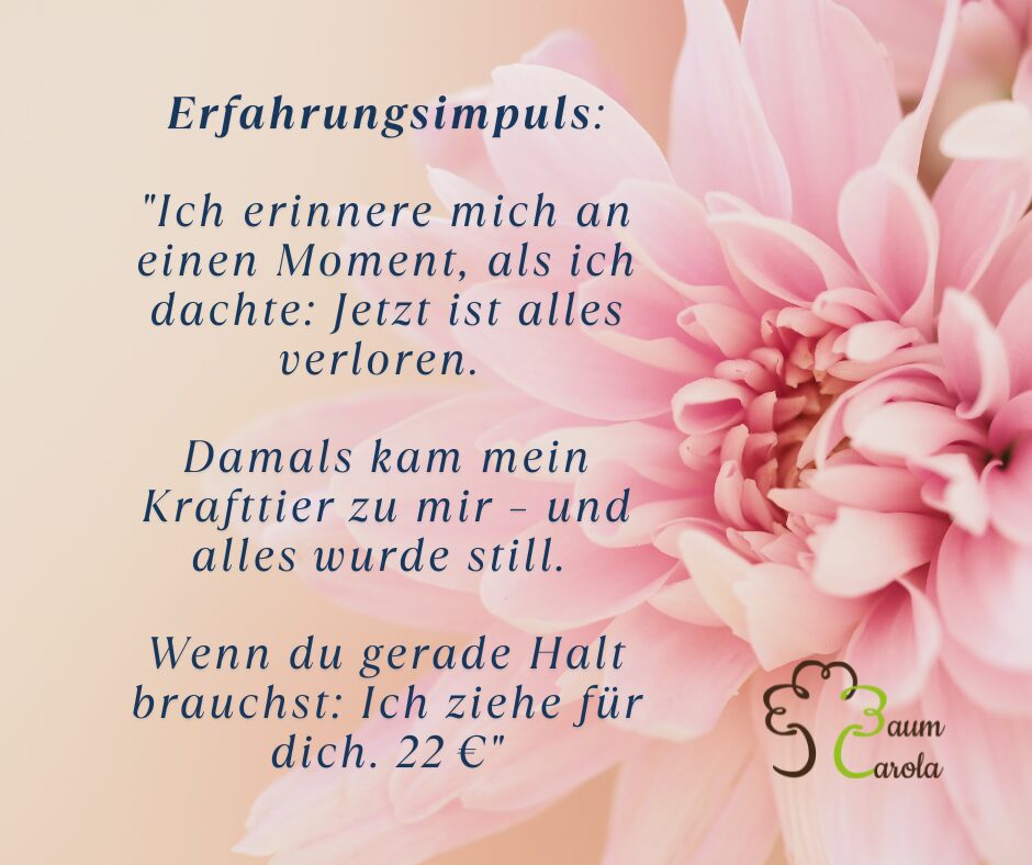 Manchmal reicht ein kleiner Impuls, um wieder Boden unter den Füßen zu spüren. Genau dafür sind meine Seelen-Sprachnachrichten da. Kurz. Klar. Herzöffnend. Möchtest du eine 44 € – in deinem WhatsA