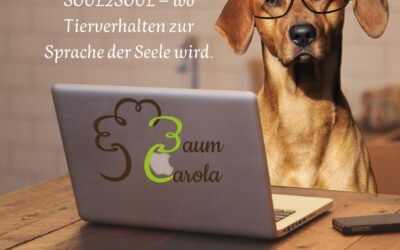 Trauma nach Hundeangriff: Wenn Angst den Alltag übernimmt – und wie Heilung möglich wird