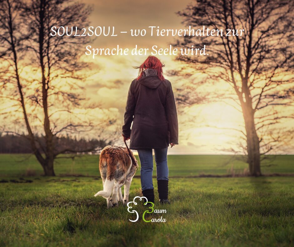SOUL2SOUL – wo Tierverhalten zur Sprache der Seele wird.(2)