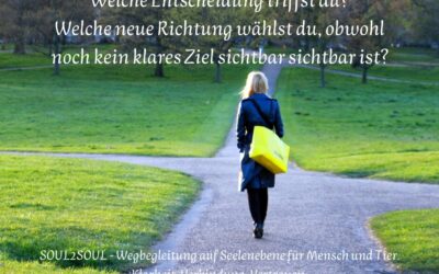 Warum es nicht klappt – obwohl du alles „richtig“ machst