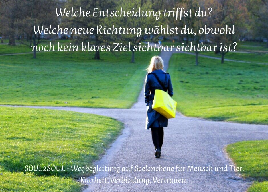 Warum es nicht klappt – obwohl du alles „richtig“ machst