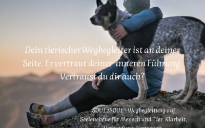 Wenn dein Hund dich triggert – und es gar nicht um ihn geht