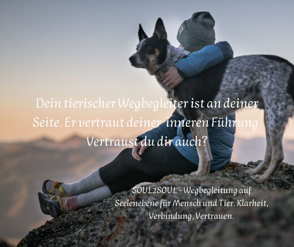 Symbol für Entscheidung, Übergang, neue Richtung – aber noch ohne klares Ziel sichtbar.(4)