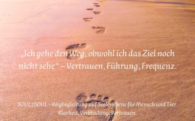 Zahlensprache & Rückfluss – wenn das Leben dir Zeichen schickt