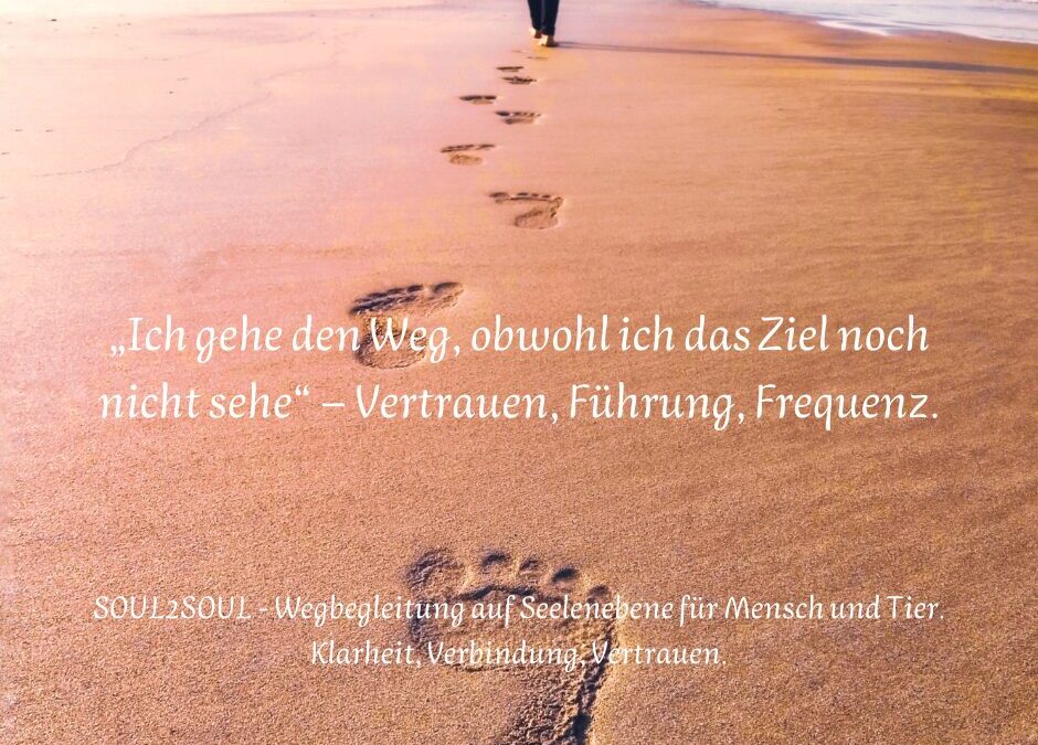 Zahlensprache & Rückfluss – wenn das Leben dir Zeichen schickt