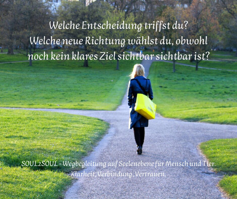 Symbol für Entscheidung, Übergang, neue Richtung – aber noch ohne klares Ziel sichtbar.