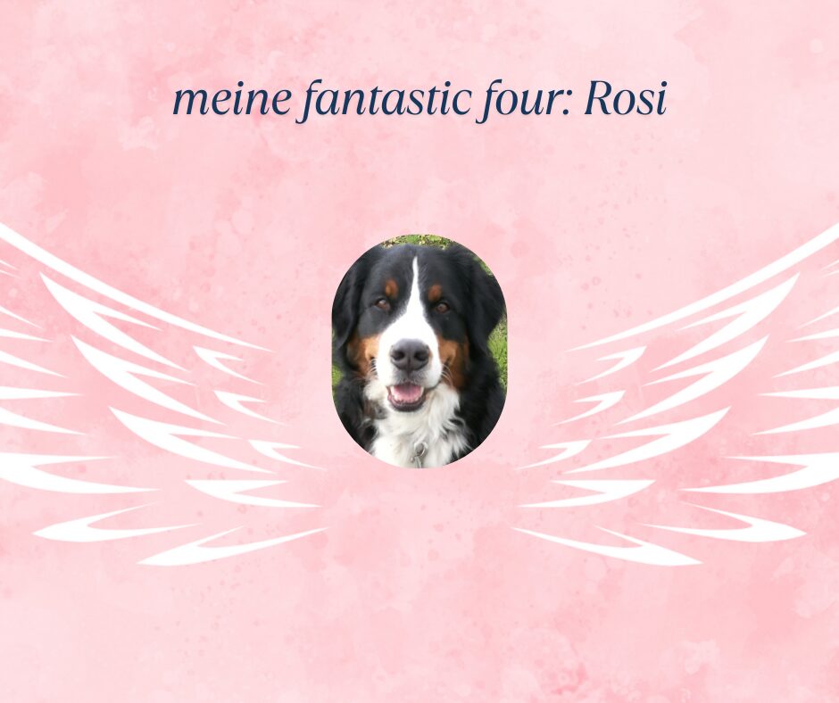 meine fantastic four Rosi