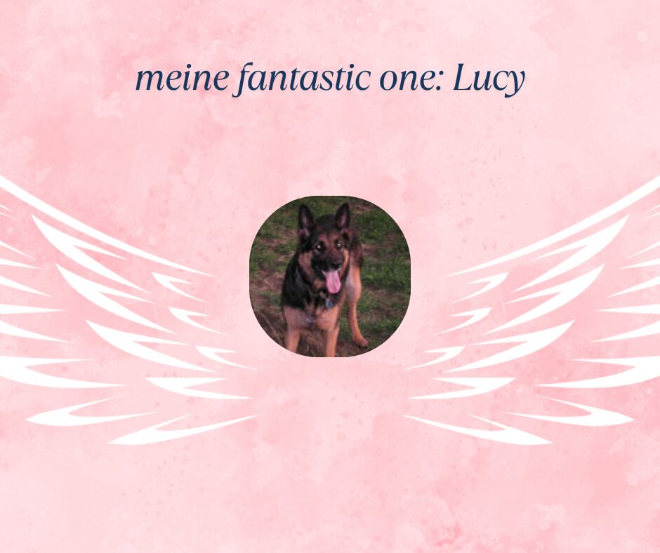 meine fantastic one Lucy