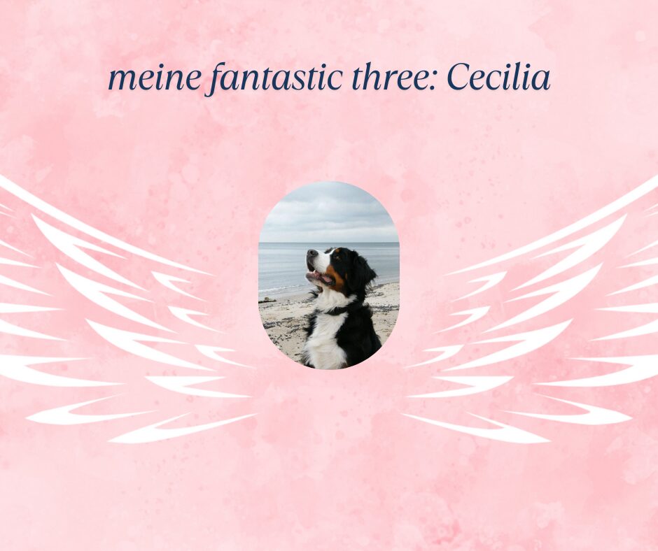 meine fantastic three Cecilia
