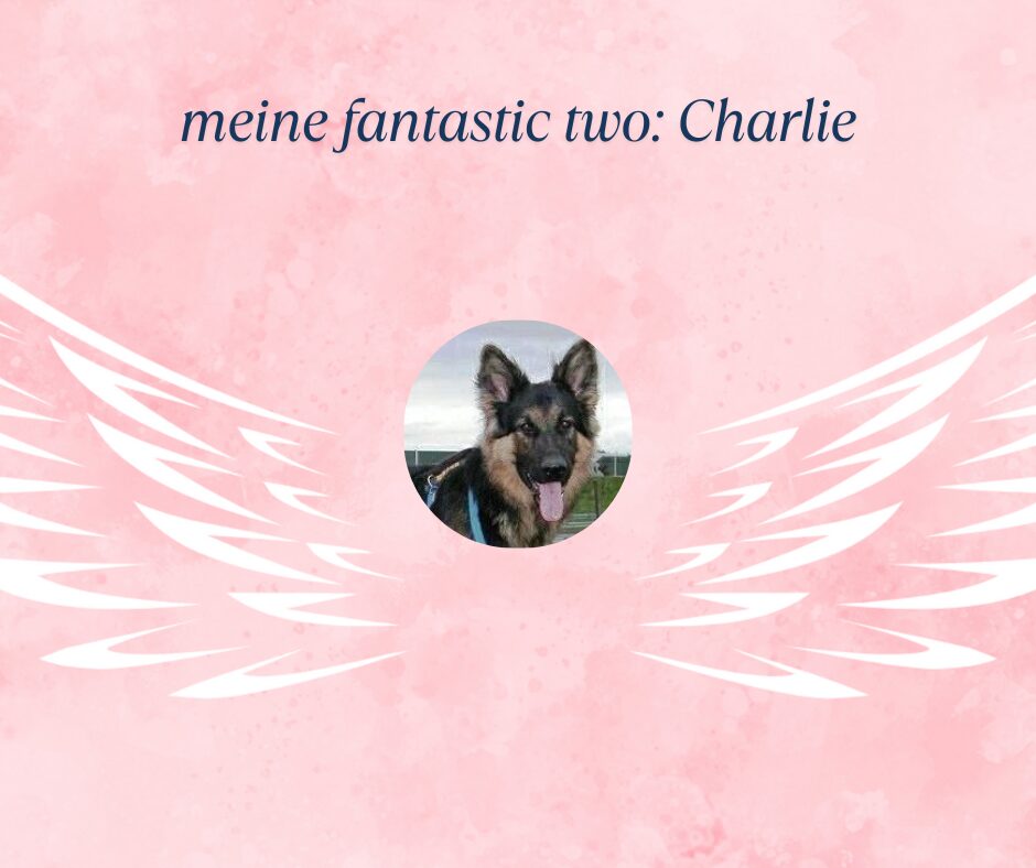 meine fantastic two Charlie
