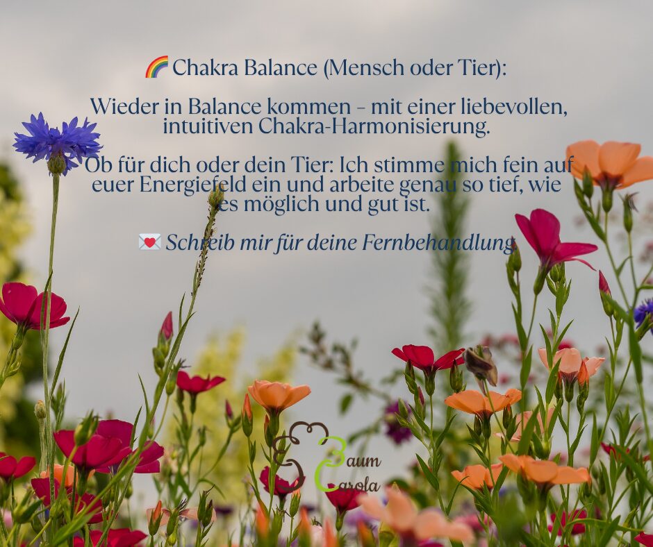 🌈 Chakra Balance für Mensch & Tier 🔸 Du oder dein Tier seid gerade nicht in Balance Fühlt sich alles irgendwie „verrutscht“ an – aber du kannst es nicht genau greifen Eine sanfte Chakra Balance (1)