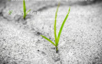 Ungeduld, Wurzeln & die Kunst, wirklich zu verkörpern