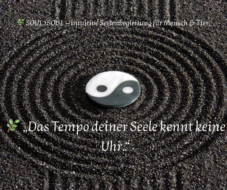 🌿 „In der Ruhe liegt die Kraft.“ – Konfuzius(2)