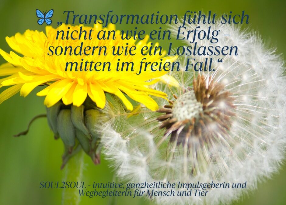 Auf dem Sprung: Zwischen Zweifeln und dem inneren Ja