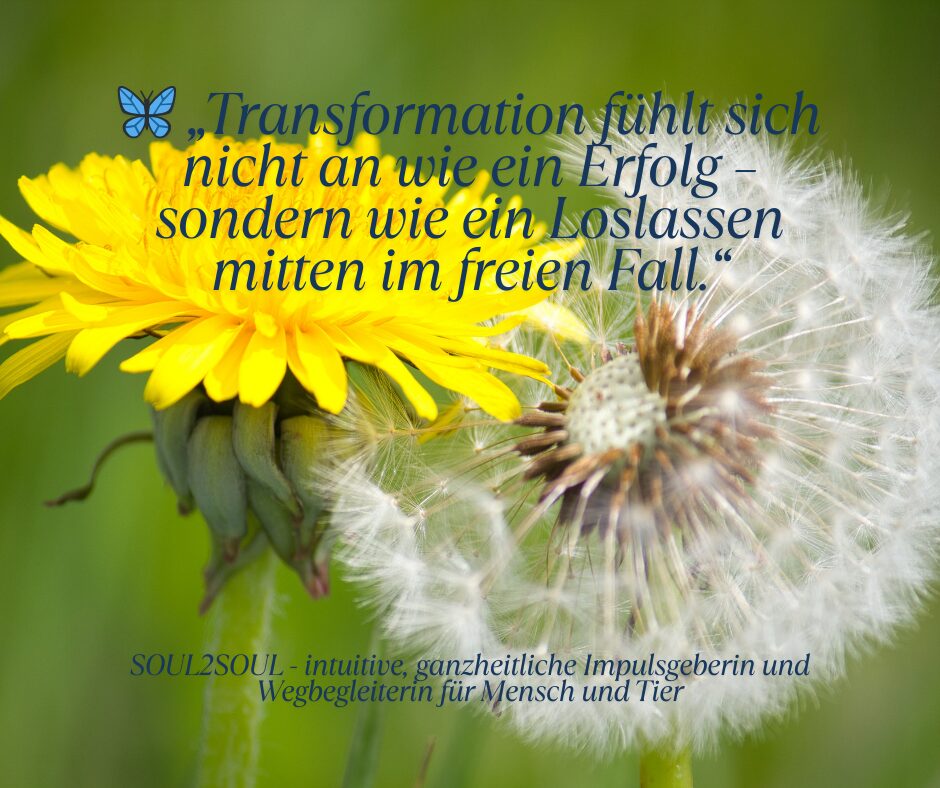 🦋 „Transformation fühlt sich nicht an wie ein Erfolg – sondern wie ein Loslassen mitten im freien Fall.“