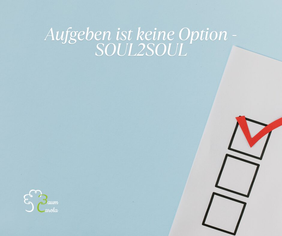 Aufgeben ist keine Option - SOUL2SOUL(2)