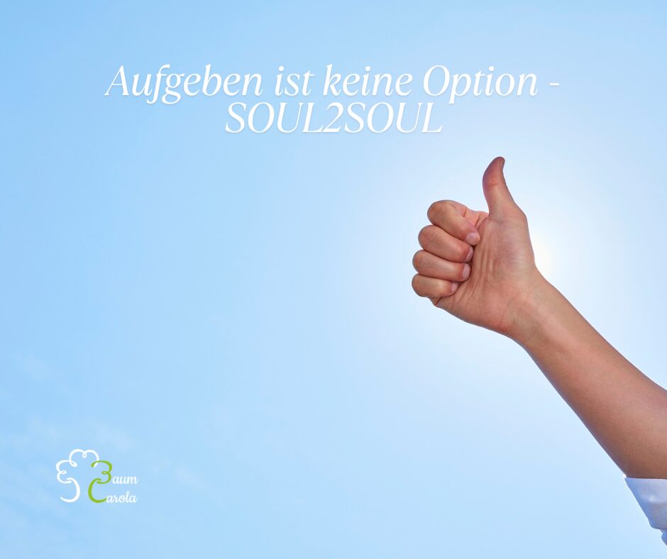 Aufgeben ist keine Option - SOUL2SOUL(3)